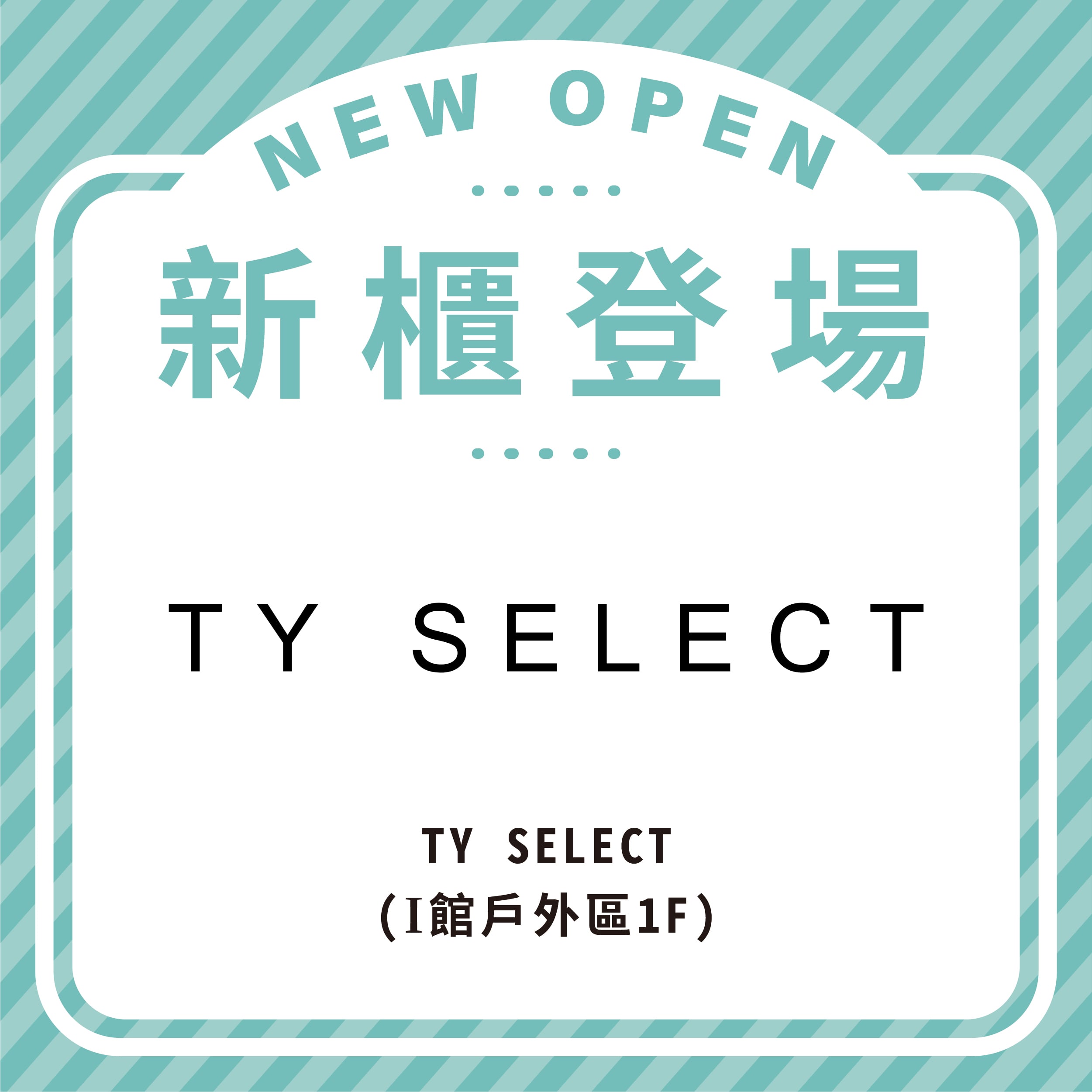 TY SELECT