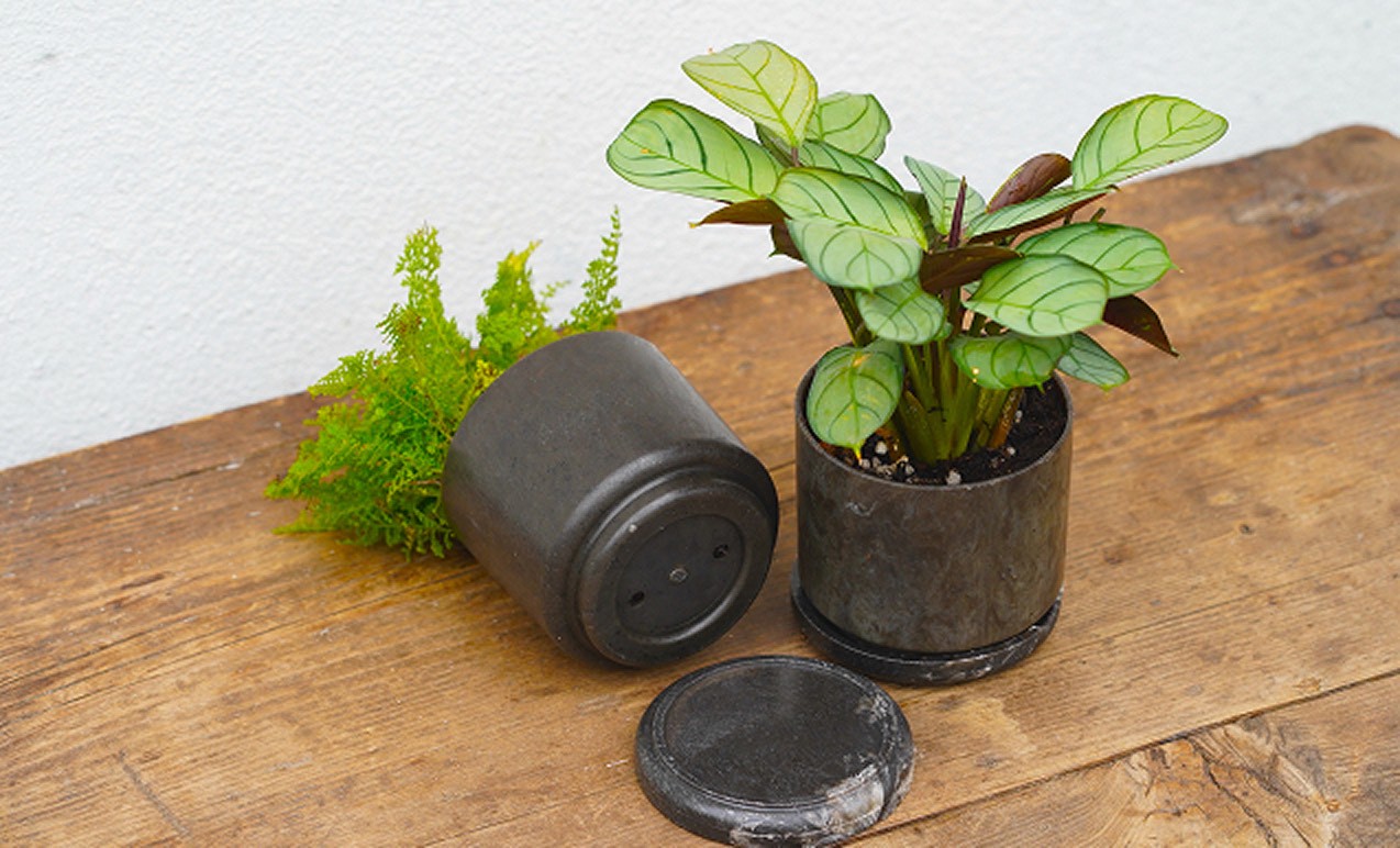 MUJI 無印良品 | 世界地球日